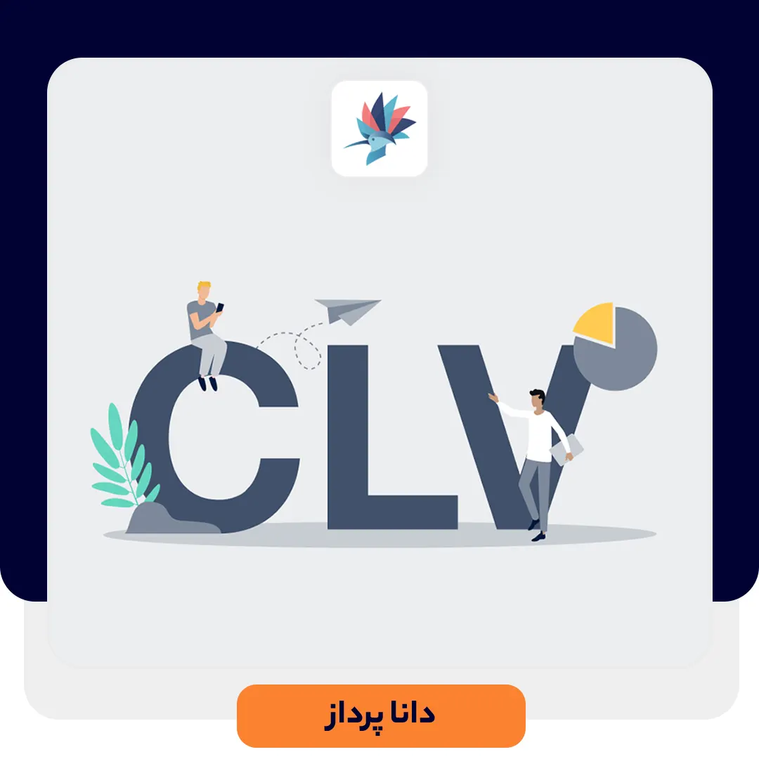 ارزش طول عمر مشتری (CLV) چیست؟ | داناپرداز