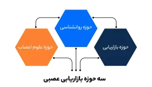 حوزه های بازاریابی عصبی 