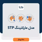 بازاریابی STP چیست و چه مزایا و معایبی دارد؟